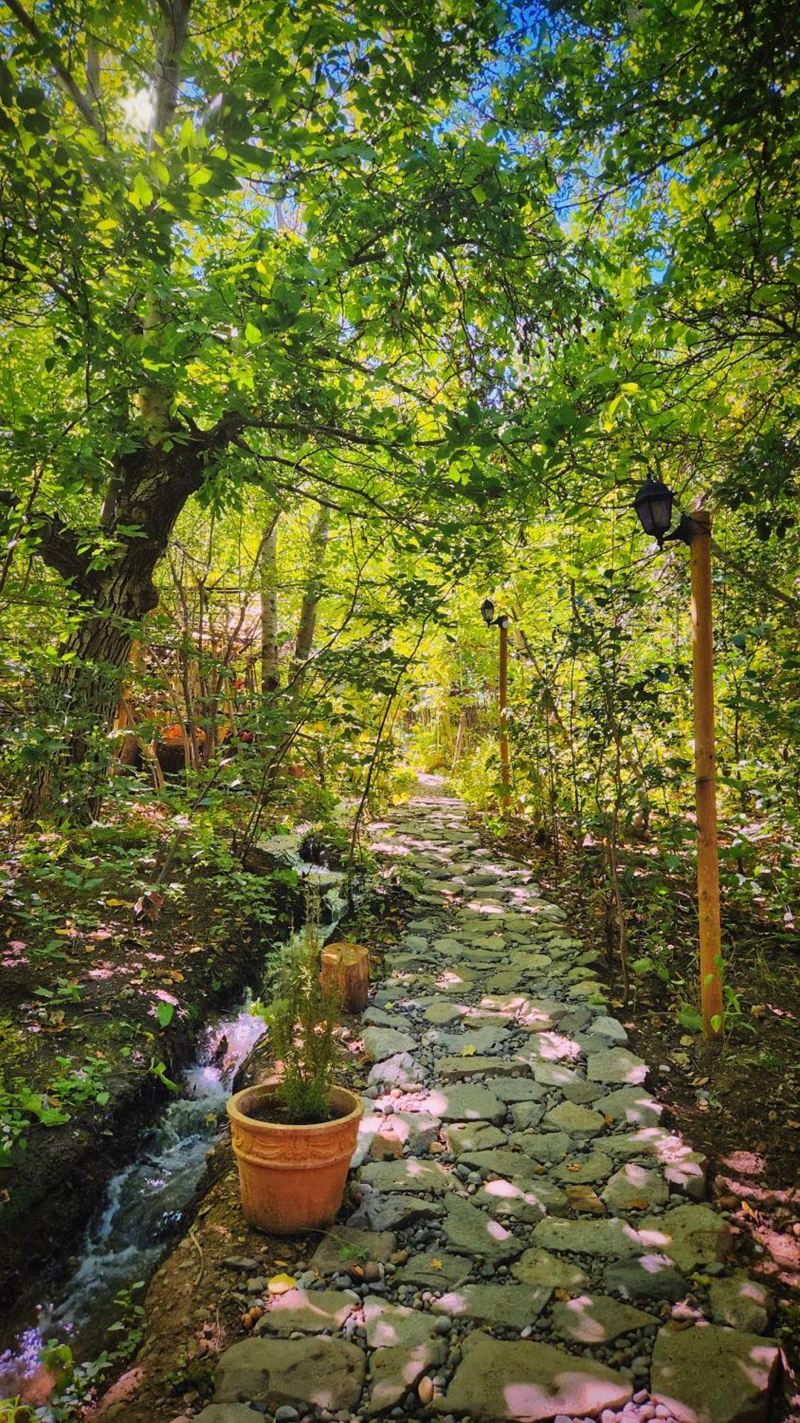 El Jardin, Eco Cabanas Boutique Сан Алфонсо Екстериор снимка